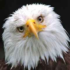 nonsense Mr.Beanst 恆恩