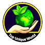 Top Unique World logo