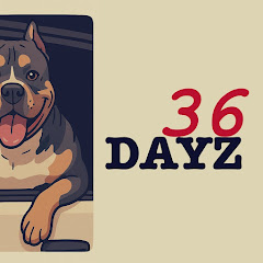 36Dayz