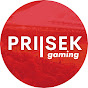 PRIISEK Gaming logo