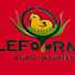 _k1xLGWotfo-channel-avatar-ELEFORMA AGRO-BUSINESS 