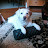 @ChrisW3806-c3j Avatar