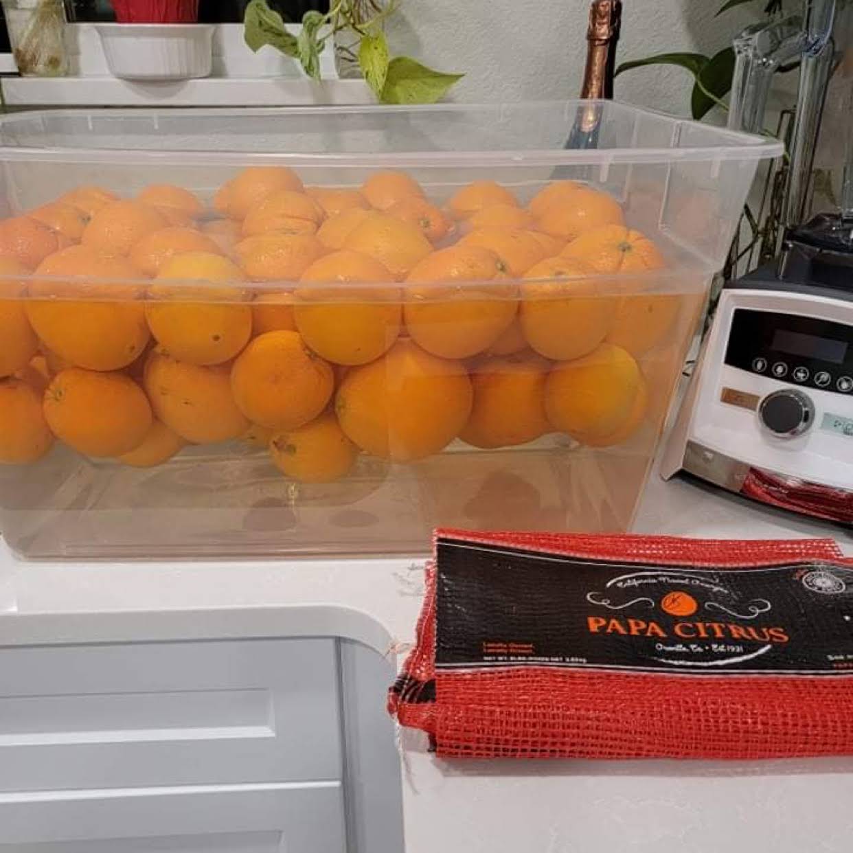 Mvmqa7yelgSM_PnggT5Vhsy7rgos3a