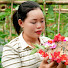 lMehVYmwe4Q-channel-avatar-Trieu Huong Harvesting