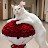 @Lychee-l2t