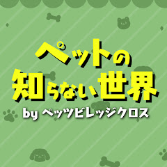 ペットの知らない世界