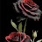 @msyria8896