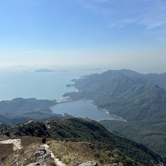 Warrenアイコン画像