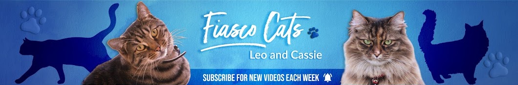 Fiasco YouTube-Kanal-Avatar