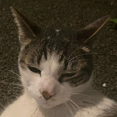 稲葉倖輝