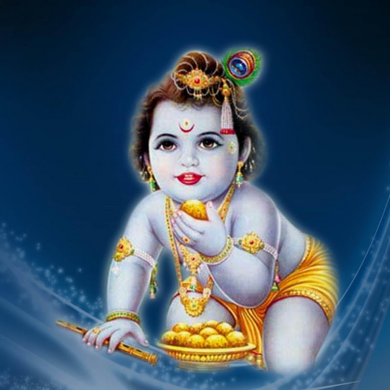 Laxmikrishna Vlogs