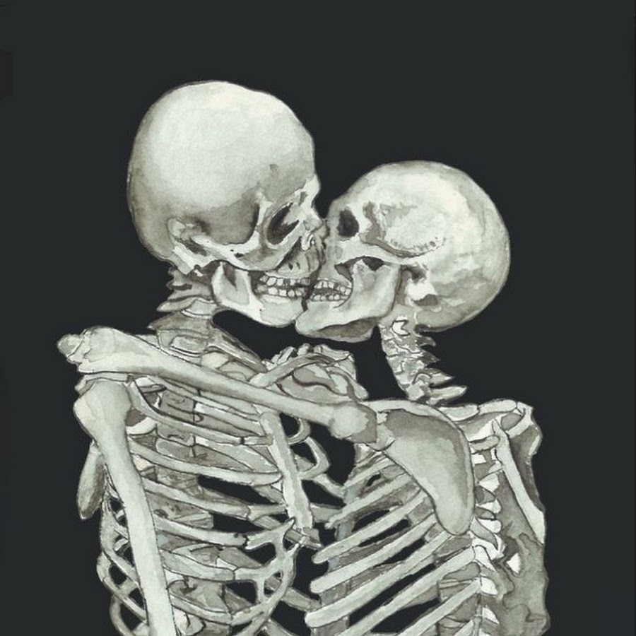 Скелеты пара. Снимок скелета.