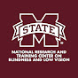 NRTC on Blindness & Low Vision logo