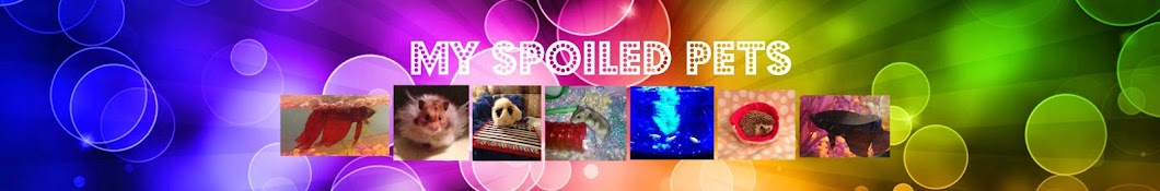 My Spoiled Pets YouTube channel avatar