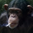 KOOmaBbqYBk-channel-avatar-weirdcritter