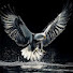yPkvlWBELtk-channel-avatar- hassan robyo tv
