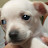 @elcanaldejoshua685 Avatar