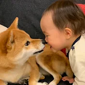 ももはな日記 my dog & my girl