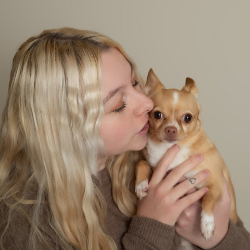 Faith's Furry Critters