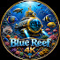 njiEz2wn7jc-channel-avatar-Blue Reef 4K
