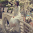 @ming-ming-93