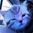 lIEpSPp_0rA-channel-avatar-Mitz_Keke