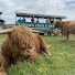 cU54nzyKK-M-channel-avatar-Kitchen Coos & Ewes