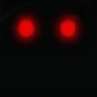 Flame Fref profile image