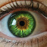 VOxxOh6ou9E-channel-avatar-EyeDrops