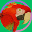 FhZySVKSBig-channel-avatar-Feathered Hearts