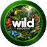cvmLFWDIUAM-channel-avatar-Wild Epochs