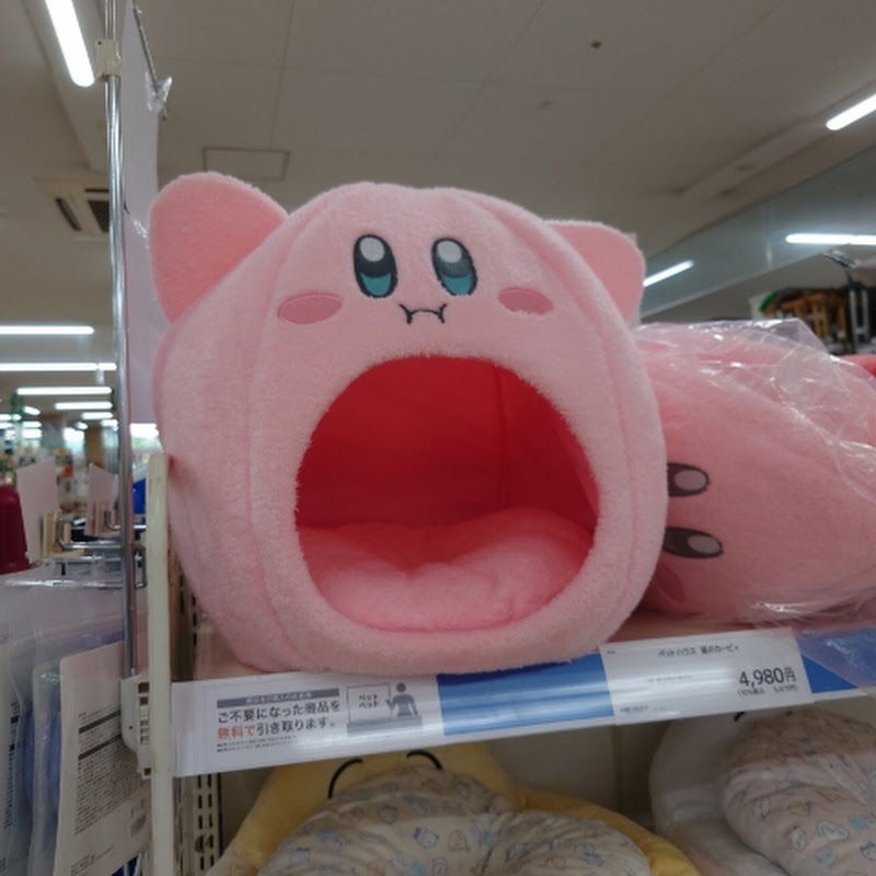 숏구리_