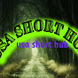 USA SHORT HUB logo