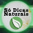 Só Dicas Naturais