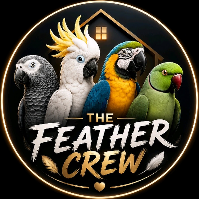 The Feather Crew