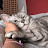 @stylecatcat