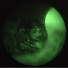 3L2dLoC1eIE-channel-avatar-MilSurpCat