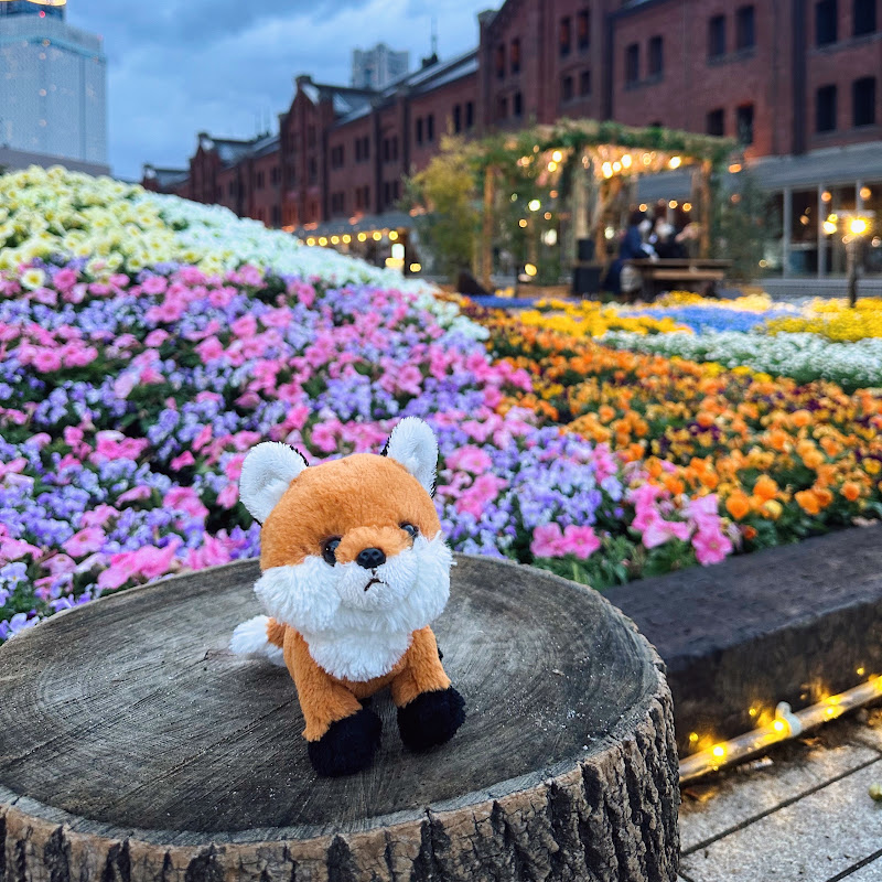 RoRich in Japan