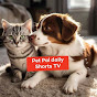 Pet Pal daily  Shorts TV logo