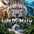 fVKIHaPHiNo-channel-avatar-Wildomaly