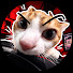 _9eUdm7szig-channel-avatar-Maximilien