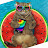 Funny Funny Cats