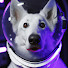 UllMk9YK_bo-channel-avatar-diego1234