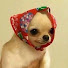 mGiIfyAV2T0-channel-avatar-strawberryjamluvr