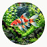 cpgg-54Logk-channel-avatar-Fishy Aquatics TV
