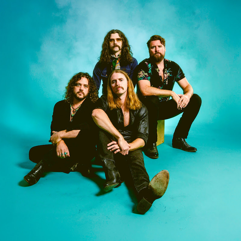 The Sheepdogs icon