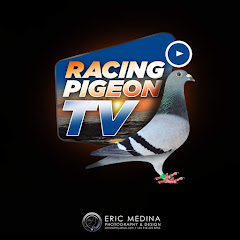 Racing Pigeon Tv Avatar