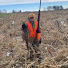 qtxclWHhCK8-channel-avatar-Old Kentucky boy1
