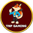 wvAPthj1qCs-channel-avatar-TNPGaming