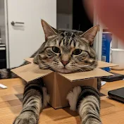 Unreal Cat